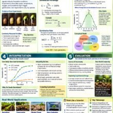 Advanced High School Seed Academic Edition Infographic Poster