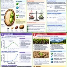 University Introductory Seed Academic Edition Infographic Poster