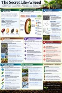 Academic Scholar Seed Academic Edition Infographic Poster