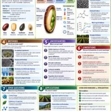 Academic Scholar Seed Academic Edition Infographic Poster